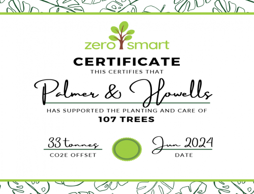Working with ZeroSmart’s reforestation project